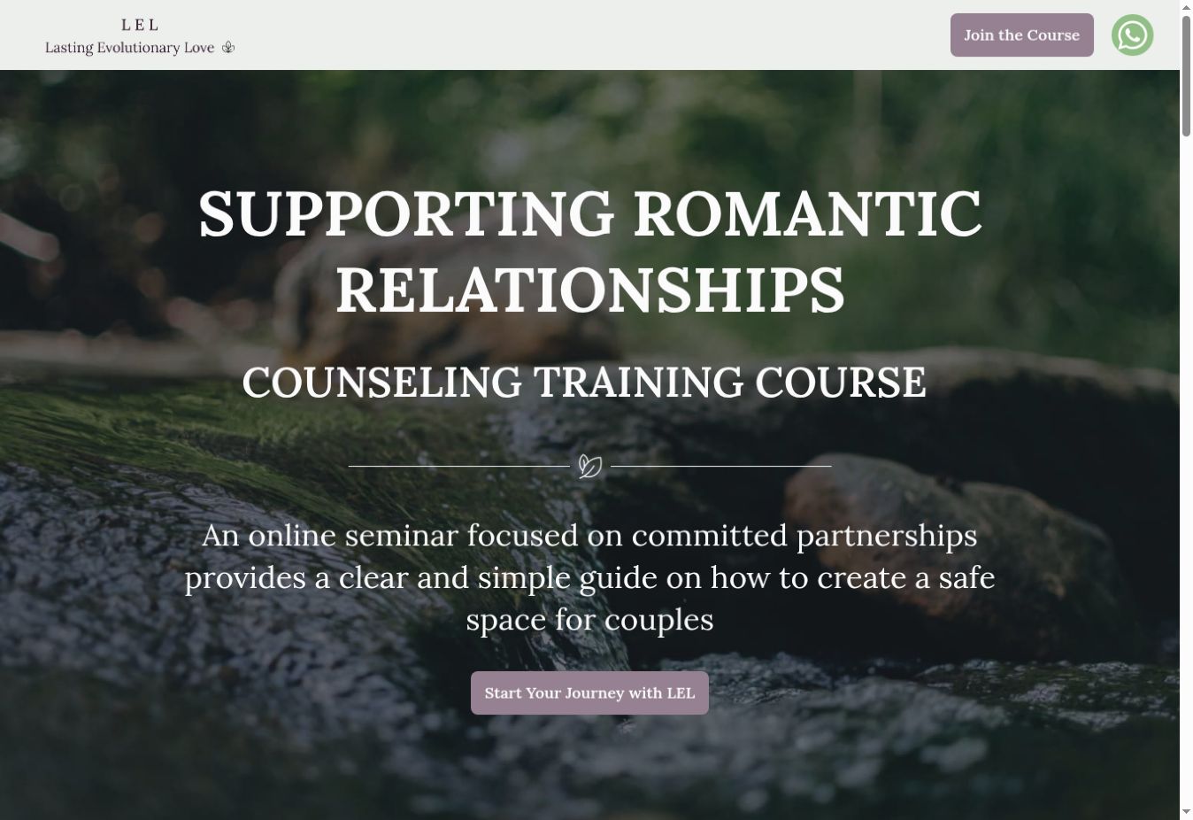 Screenshot of the Nami Peled homepage